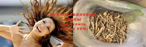 прущие крисы Горно-Алтайск