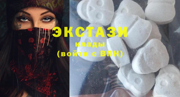индика Горнозаводск