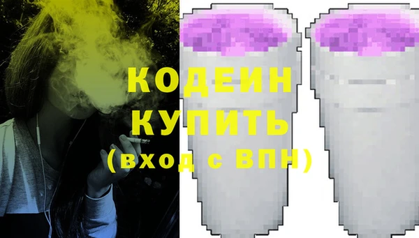 крисы Анжеро-Судженск