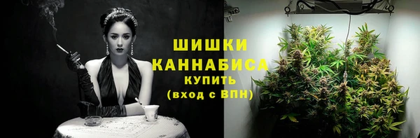 метамфетамин Анива