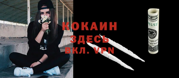 индика Горнозаводск