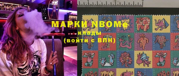 индика Горнозаводск