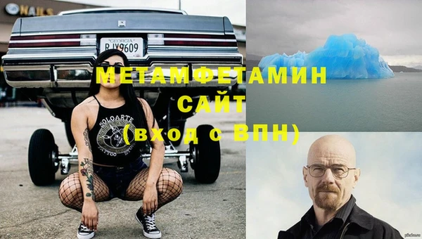 индика Горнозаводск