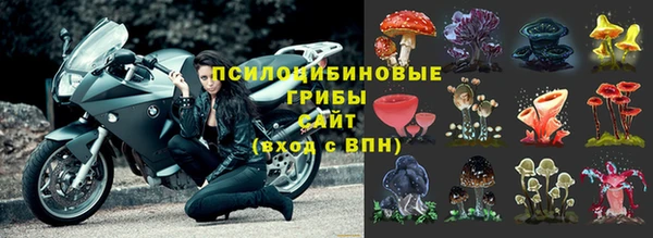 метамфетамин Анива