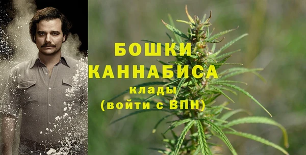 индика Горнозаводск
