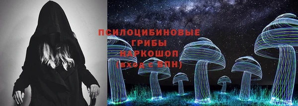 крисы Анжеро-Судженск