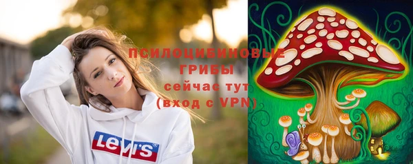 метамфетамин Анива
