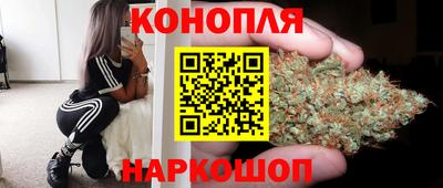 стаф Волгодонск