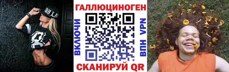купить  сайты  Гусь-Хрустальный  площадка как зайти  Галлюциногенные грибы Cubensis 