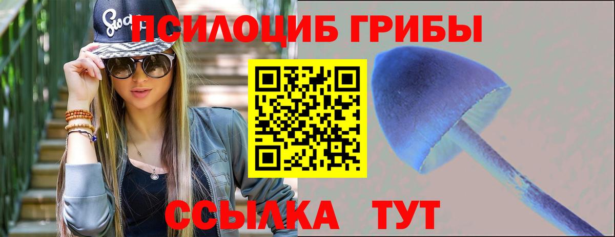 Галлюциногенные грибы мицелий  Вход с VPN  Гусь-Хрустальный 