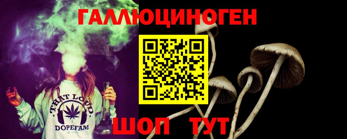 Псилоцибиновые грибы Magic Shrooms  Гусь-Хрустальный 