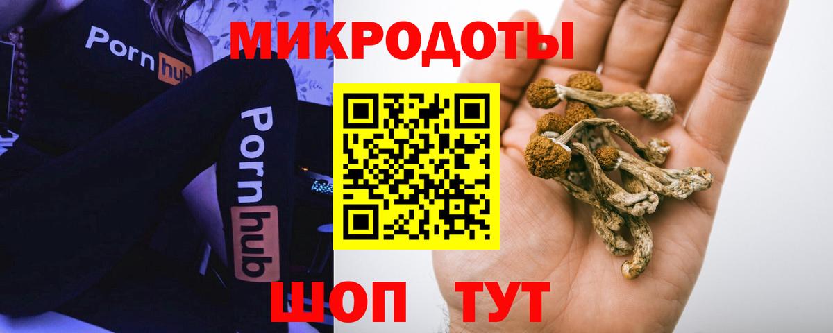 Галлюциногенные грибы Cubensis Гусь-Хрустальный