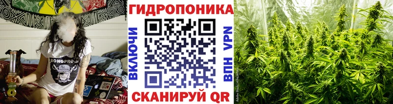hydra зеркало  Гусь-Хрустальный  Бошки марихуана SATIVA & INDICA 